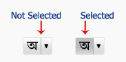 transliterate1 transliterate1